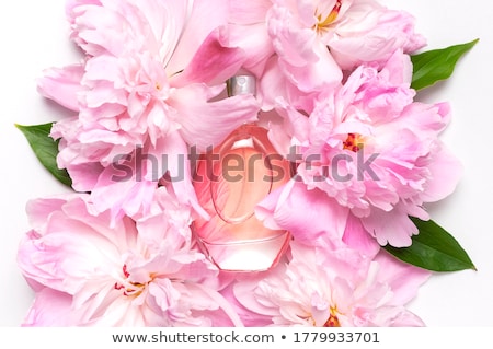 ストックフォト: Beautiful Perfume Bottle