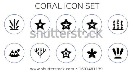 Stok fotoğraf: Starfish Icon Simple Illustration