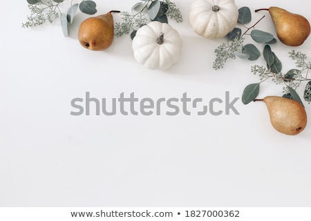 Stock photo: Pumpkin On Table
