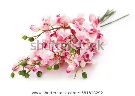 Сток-фото: Colorful Decoration Artificial Flower