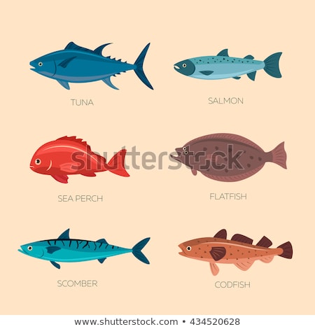 [[stock_photo]]: Codfish Marine Food Fish