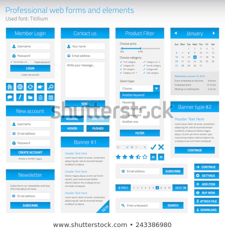 Zdjęcia stock: Professional Set Of Web Forms And Elements