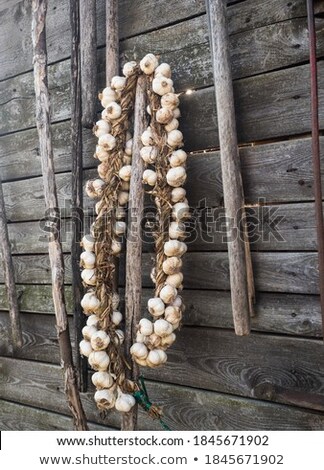 Stock fotó: Leek On A Wooden Wall