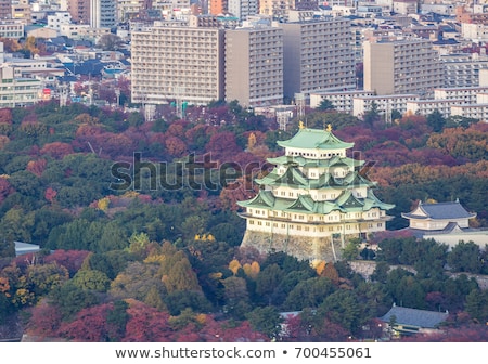 Aerial View Nagoya Castle Stok fotoğraf © vichie81