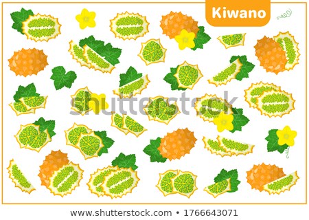 Foto stock: Kiwano Half Vector Cartoon Illustration Isolated Object On White