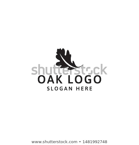 ストックフォト: Branch With Oak Leaves