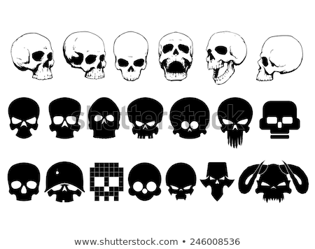 Foto stock: Skull In Helmet With Horns And Bones