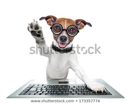 Stock fotó: Silly Computer Dog