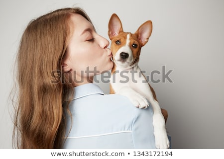 Stock photo: Basenji Puppies