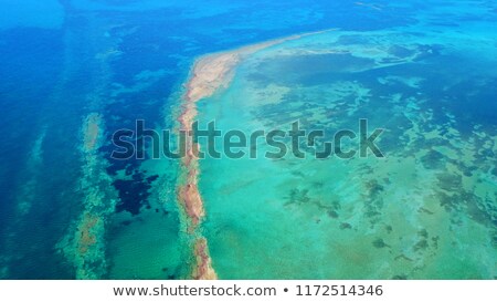Foto d'archivio: Maldives Beach From Birds Eye View Aerial View On Maldives Island Ari Atoll Tropical Islands And