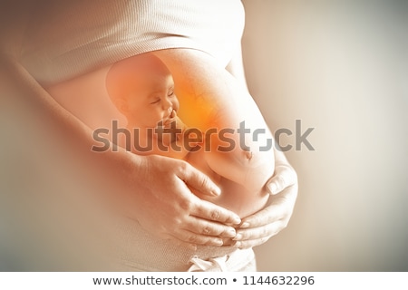 Stock foto: Baby In Womb Of Pregnant Woman