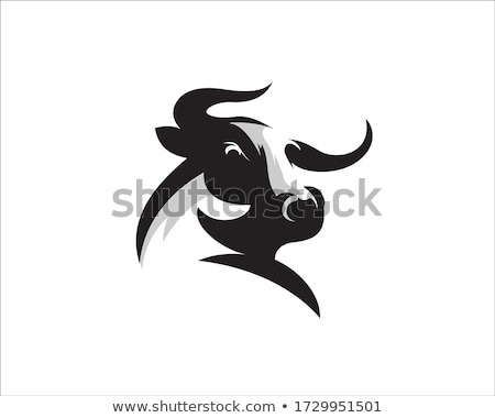 Stok fotoğraf: Buffalo Logo Design