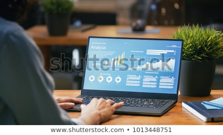 Foto stock: Business Statistics On Laptop Screen