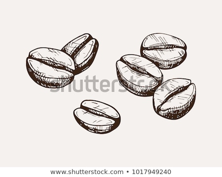 Stockfoto: Coffee Bean Hand Drawn Sketch Icon