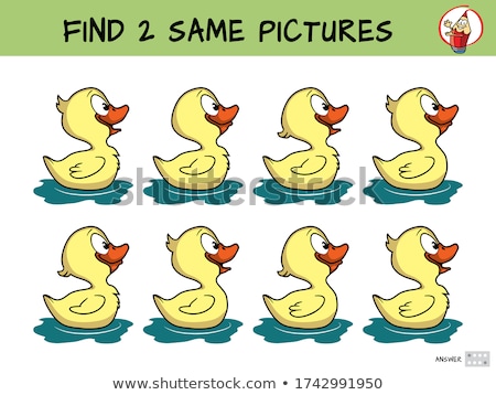 Stok fotoğraf: Find Two Identical Animal Pictures Color Book