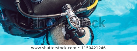 Stok fotoğraf: Grey Scuba Diving Air Oxygen Tank On The Back Of A Scuba Diver
