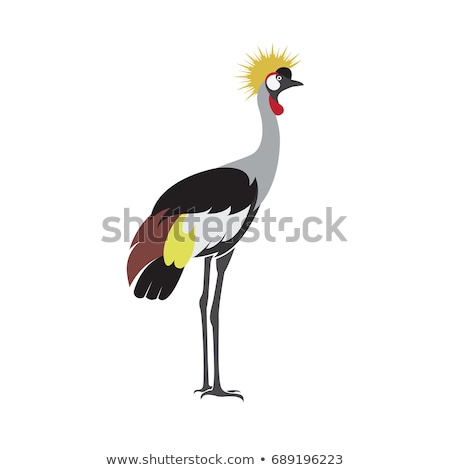 Foto d'archivio: African Animal Beautiful Colorful Crowned Crane Isolated On White Background Exotic Bird Vector I