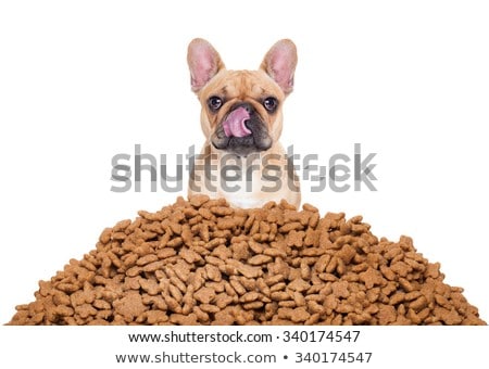 Stockfoto: Hungry Dog In Big Food Mound