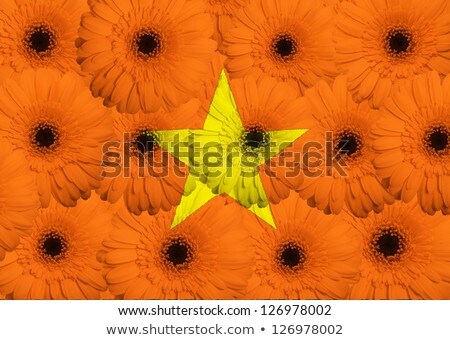 Stylized National Flag Of Vietnam With Gerbera Flowers [[stock_photo]] © vepar5