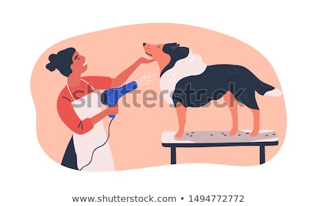 Stockfoto: Dog Drying Hair At Hairdressers