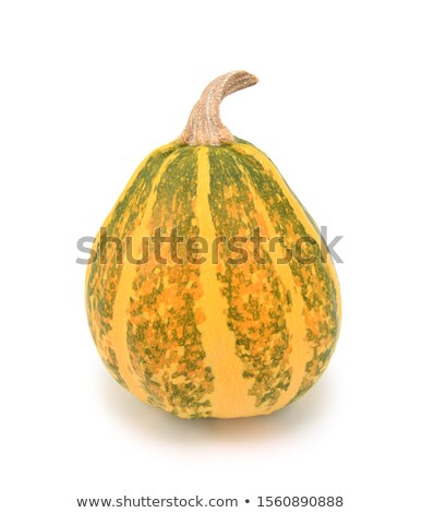 Zdjęcia stock: Ripening Green And Yellow Ornamental Gourd Turning Orange