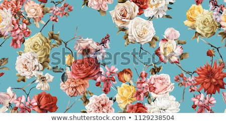 Foto stock: Rose Flower In Bloom Abstract Floral Blossom Art Background Ma