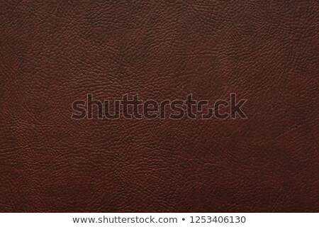 Stock photo: Brown Pelt