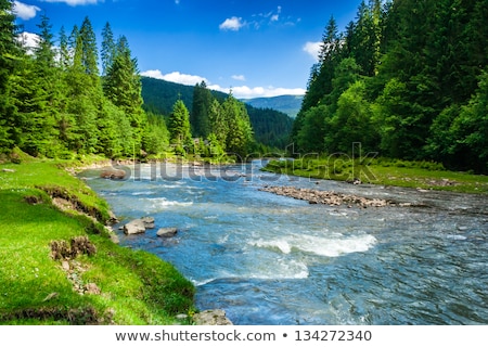 Foto stock: Tranquil Mountain Stream