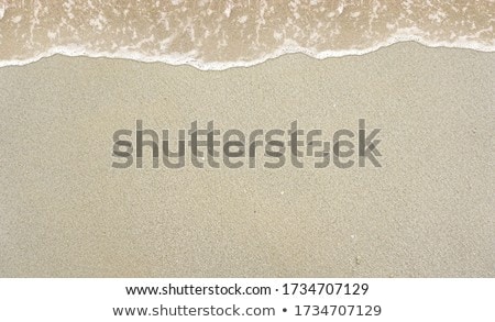 Pattern Type Texture On The Sand Beach Stock foto © 7Crafts