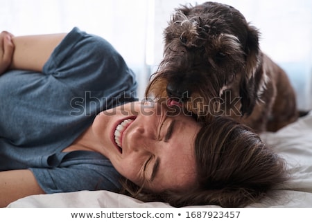 Stok fotoğraf: Dog And Owner In Bed