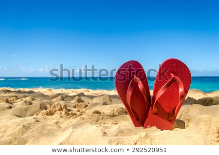 Flip Flops At The Beach Stok fotoğraf © EllenSmile