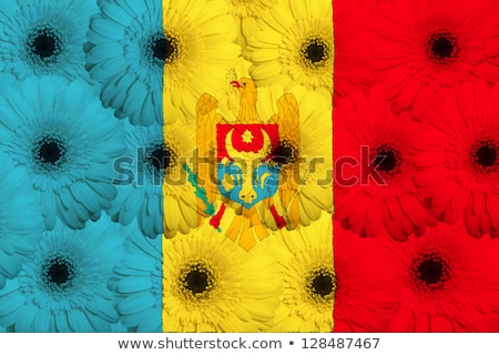 Stylized National Flag Of Moldova With Gerbera Flowers [[stock_photo]] © vepar5