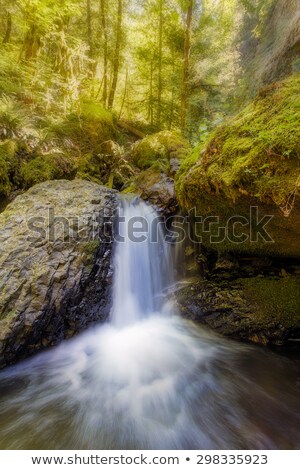 Zdjęcia stock: Waterfall Along Gorton Creek In The Afternoon