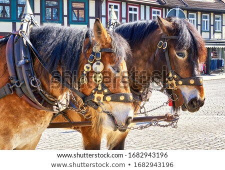 Foto stock: Two Horse Drawn Carriage At City Landscape