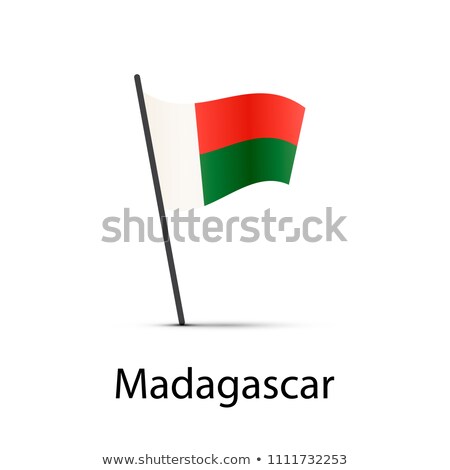 Stock foto: Madagascar Flag On Pole Infographic Element On White