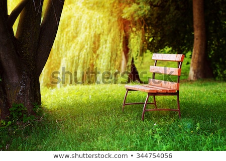 Stock photo: Lonely Wooden Bench In The Park