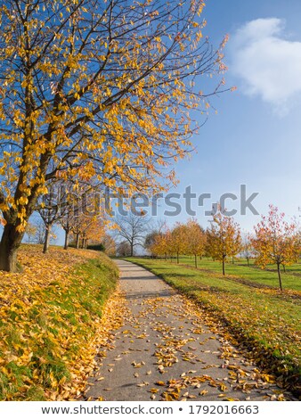 Stock photo: Rural Scene