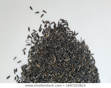 Stockfoto: Niger Seed Background