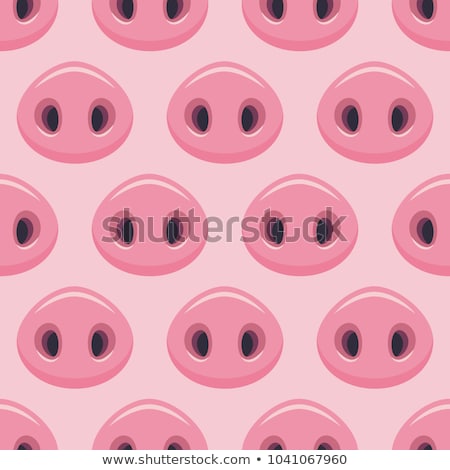 Foto stock: Pig Snout