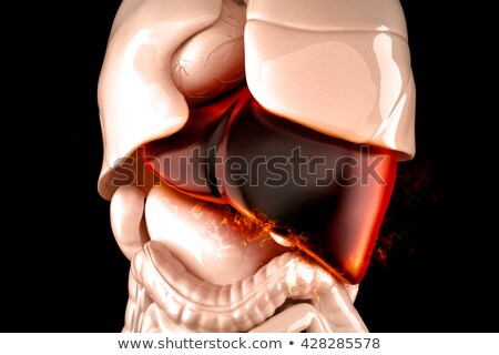 Stock photo: Burning Human Liver Closeup Liver Disease Concept 3d Illustrat