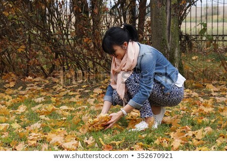 ストックフォト: Girl Collect Dry Leaves