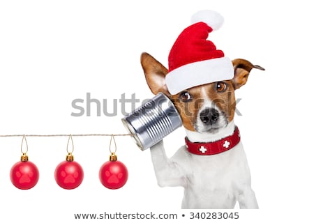 Stock photo: Dog Office Worker On Christmas Holidays
