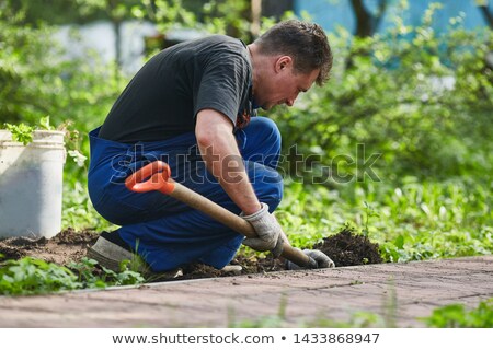 Zdjęcia stock: Man And Woman Shoveling Dirt