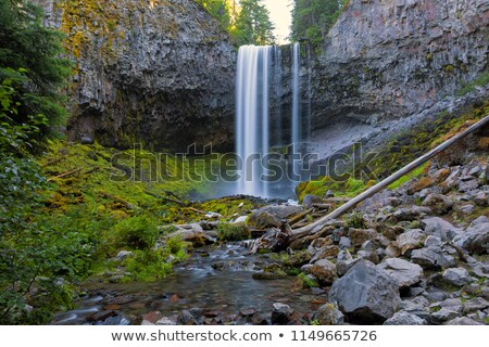Stock fotó: Tamanawas Falls Along Cold Spring Creek In Oregon Closeup