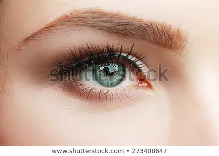 Stock fotó: Closeup Of Womanish Eye With Glamorous Makeup