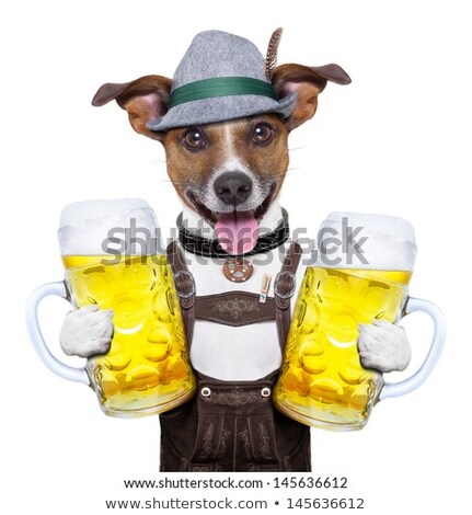 Foto stock: Bavarian Beer Dog