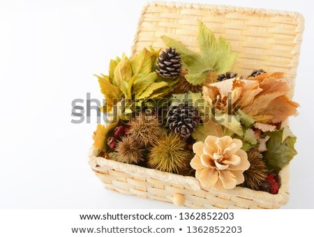 Autumn Background With Maple Leaves Full Basket Of Fall Leaves On Grass Stock foto © sunabesyou