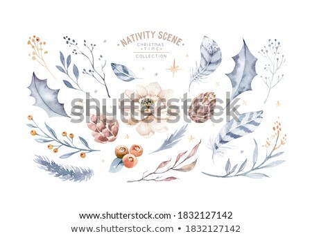 Stock fotó: Watercolor Set Of Christmas And Winter Design Elements