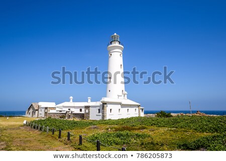 Stok fotoğraf: Seal Point Lighthouse In Cape St Francis South Africa