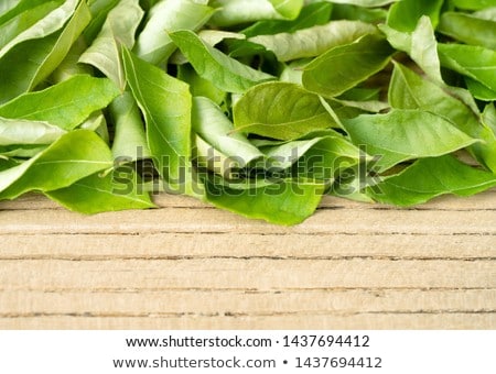Foto d'archivio: Dried Curry Leaves